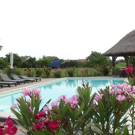 Tisza White House Bed and Breakfast Tiszaszolos Εξωτερικό φωτογραφία