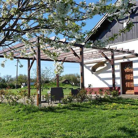 Tisza White House Bed and Breakfast Tiszaszolos Εξωτερικό φωτογραφία