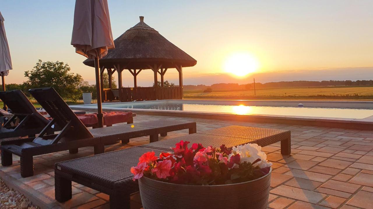 Tisza White House Bed and Breakfast Tiszaszolos Εξωτερικό φωτογραφία