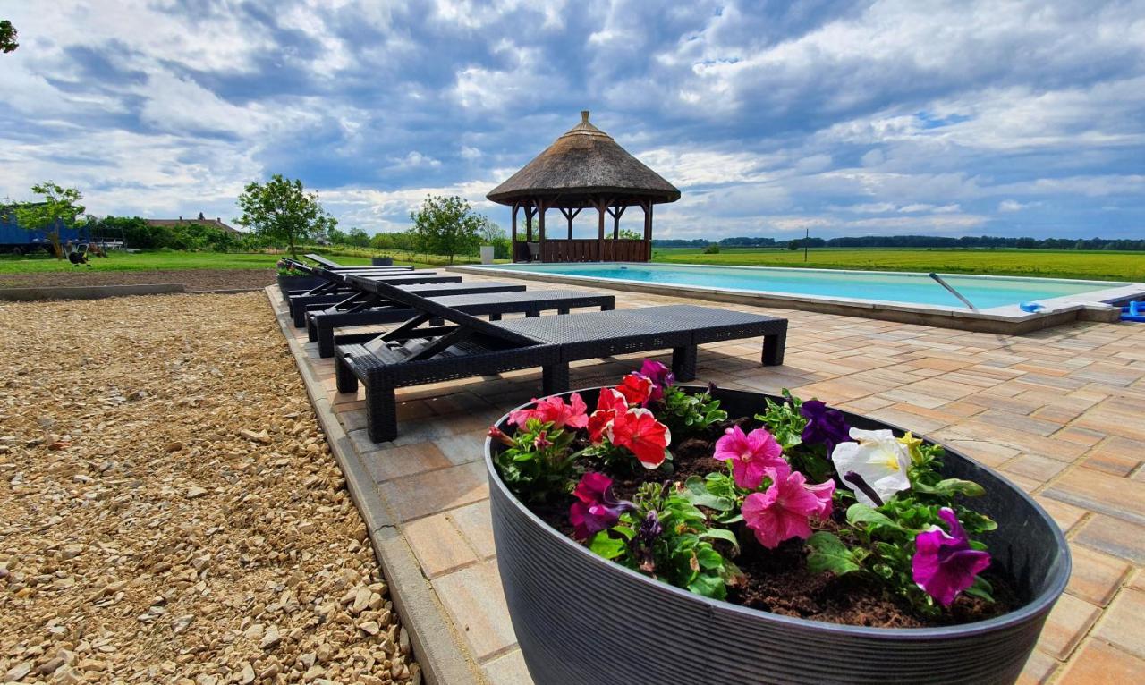 Tisza White House Bed and Breakfast Tiszaszolos Εξωτερικό φωτογραφία