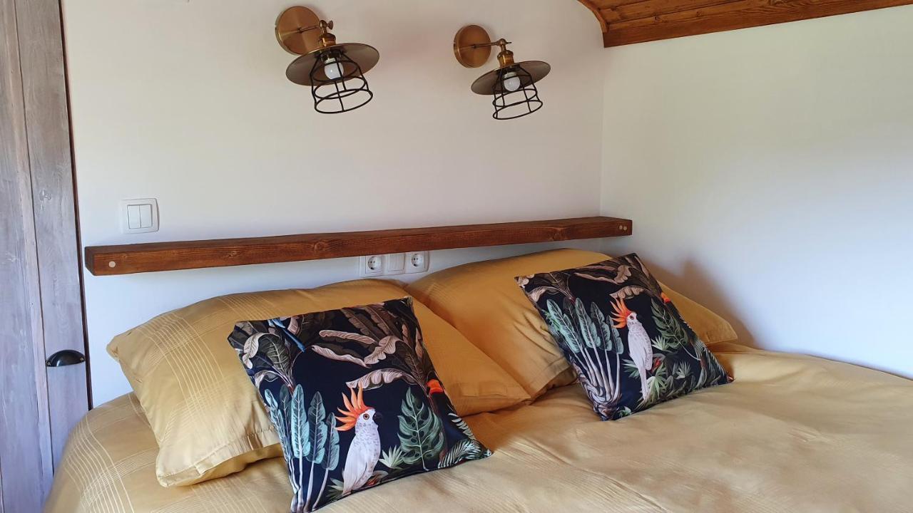 Tisza White House Bed and Breakfast Tiszaszolos Δωμάτιο φωτογραφία