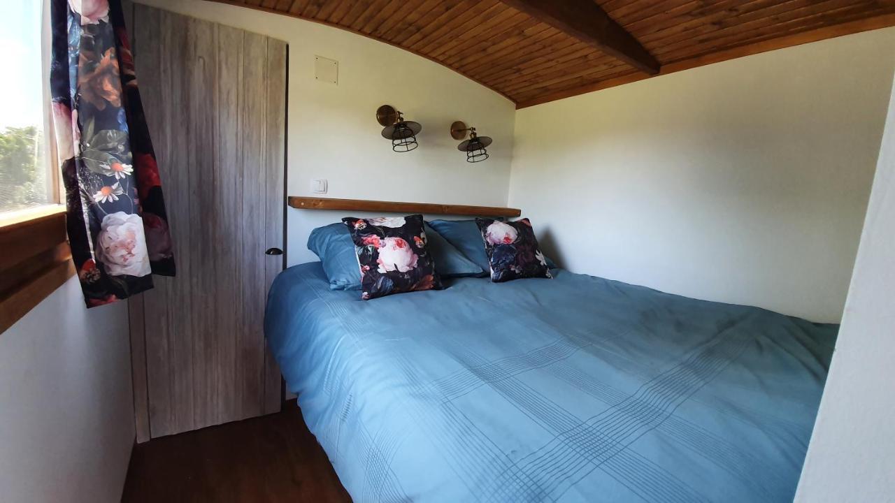 Tisza White House Bed and Breakfast Tiszaszolos Εξωτερικό φωτογραφία
