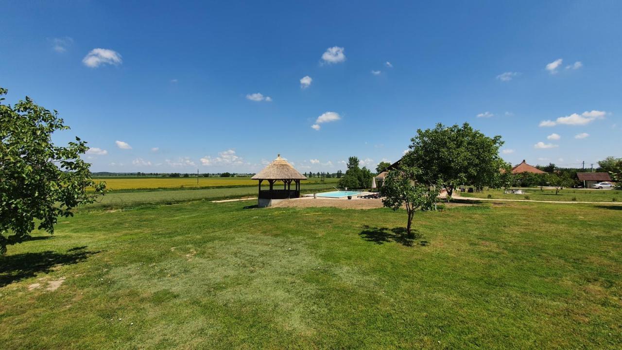 Tisza White House Bed and Breakfast Tiszaszolos Εξωτερικό φωτογραφία