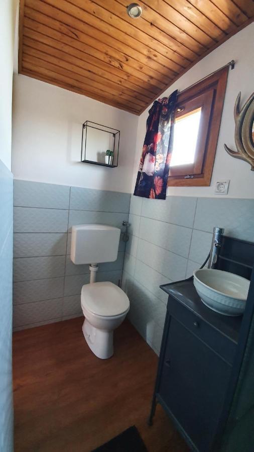 Tisza White House Bed and Breakfast Tiszaszolos Εξωτερικό φωτογραφία