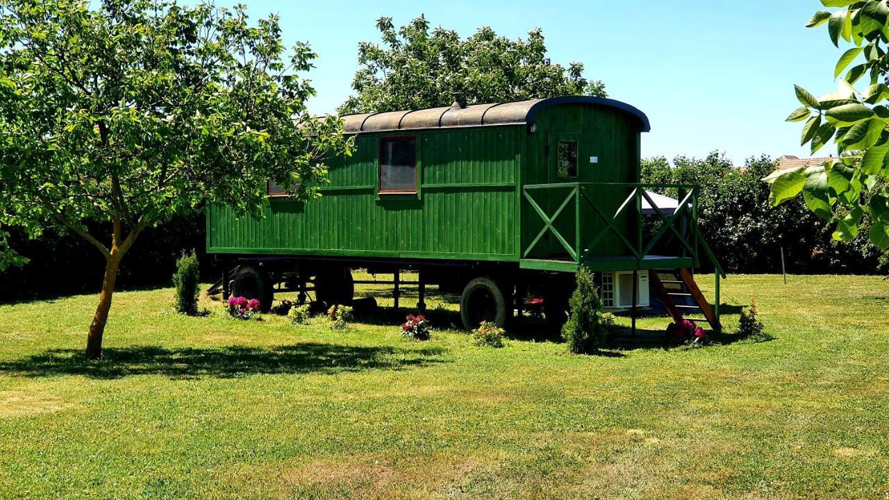 Tisza White House Bed and Breakfast Tiszaszolos Εξωτερικό φωτογραφία