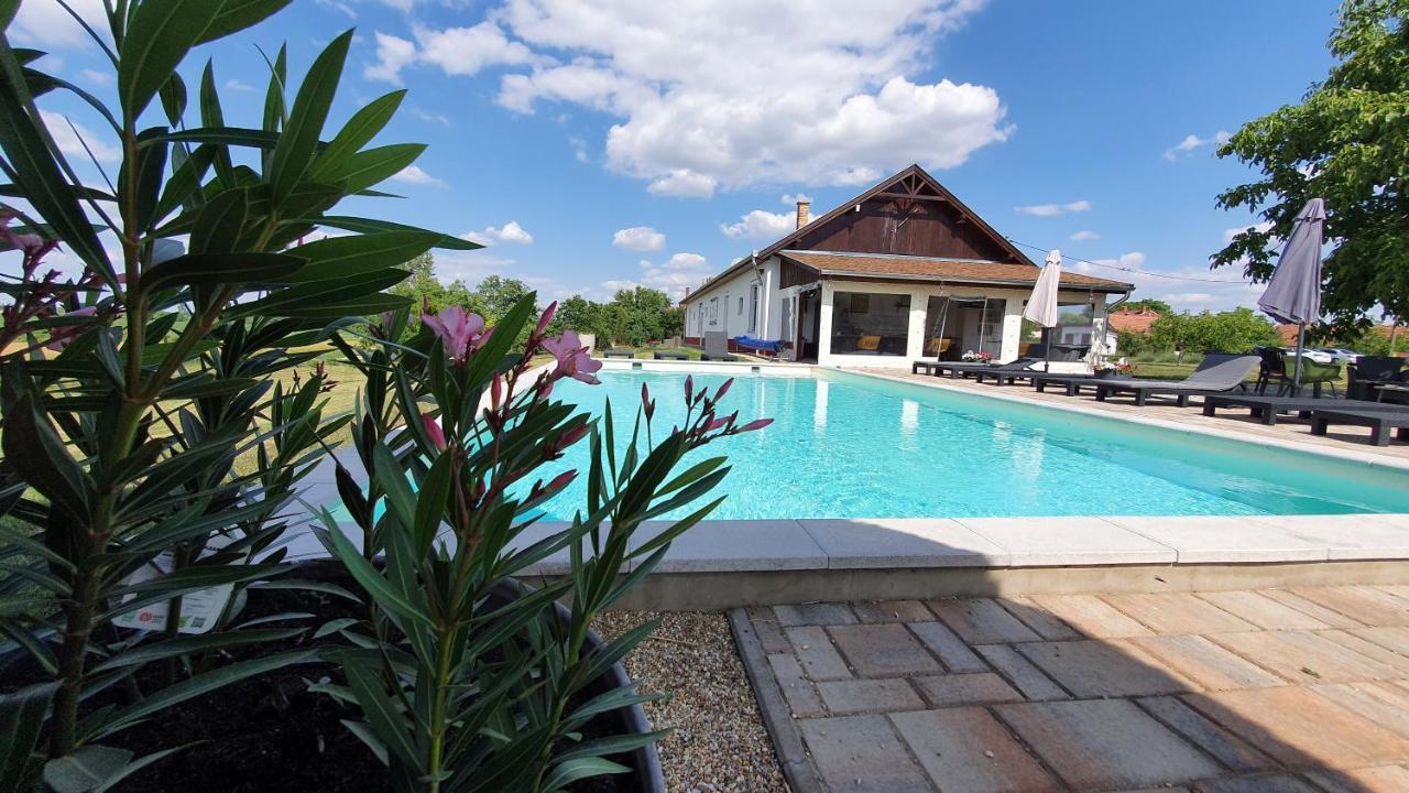 Tisza White House Bed and Breakfast Tiszaszolos Εξωτερικό φωτογραφία