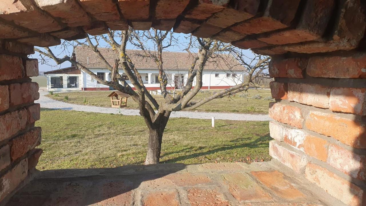 Tisza White House Bed and Breakfast Tiszaszolos Εξωτερικό φωτογραφία