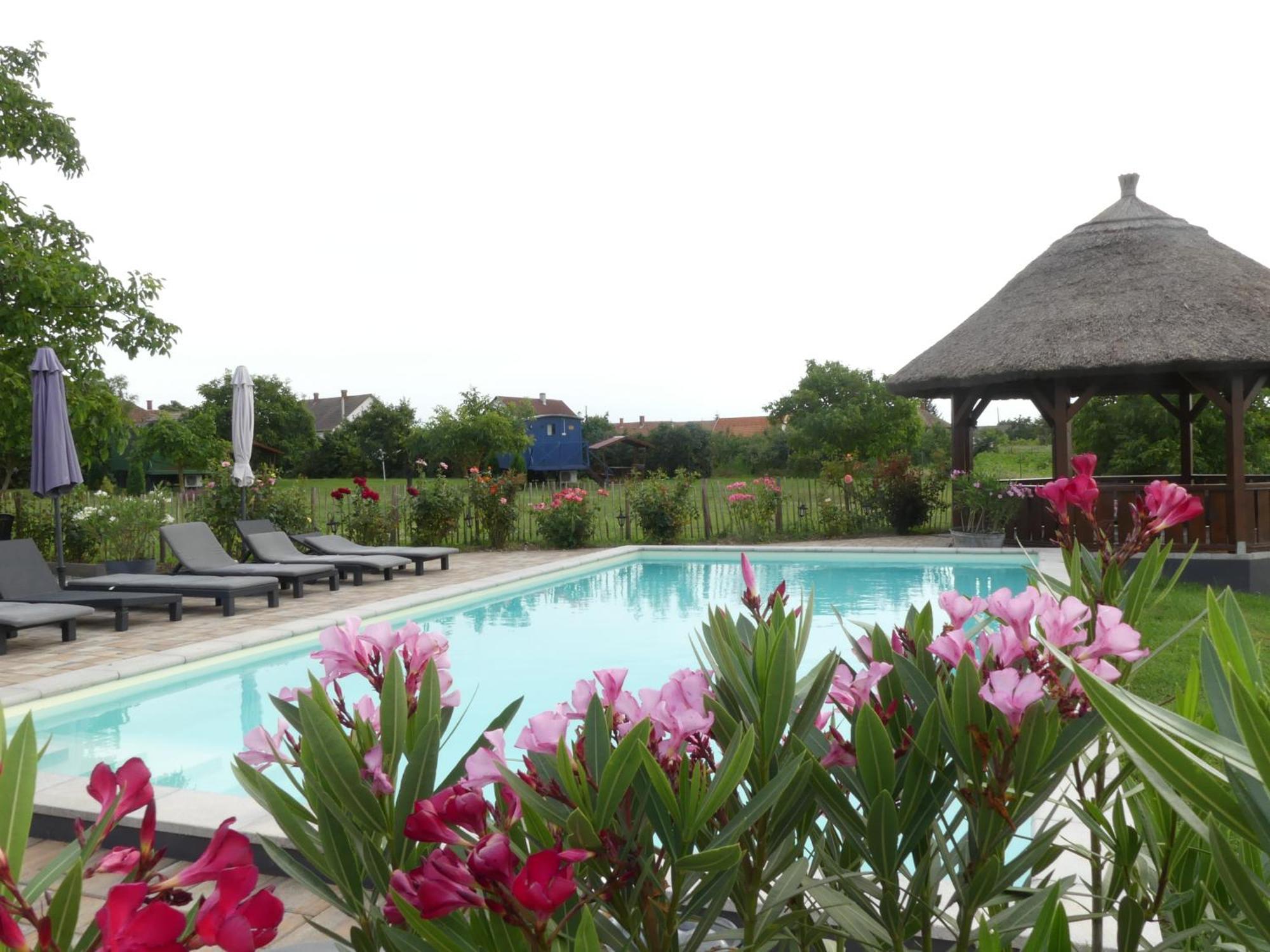 Tisza White House Bed and Breakfast Tiszaszolos Εξωτερικό φωτογραφία