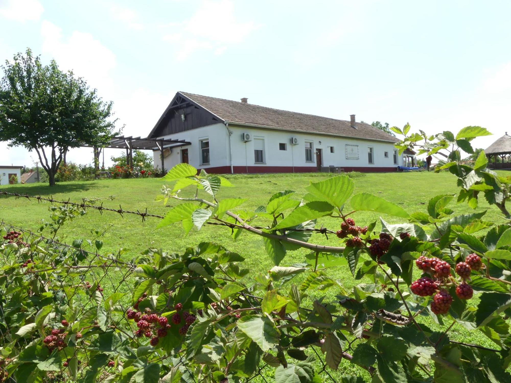 Tisza White House Bed and Breakfast Tiszaszolos Εξωτερικό φωτογραφία