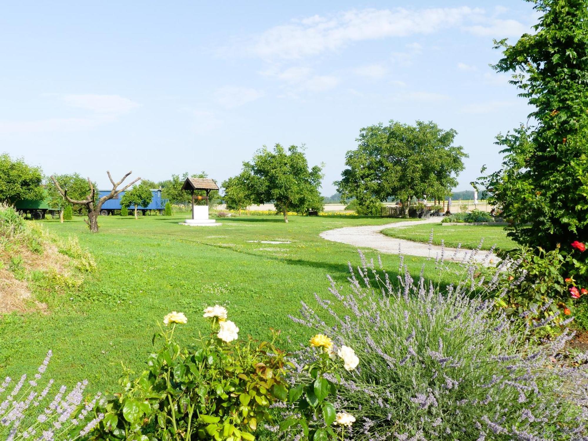 Tisza White House Bed and Breakfast Tiszaszolos Εξωτερικό φωτογραφία